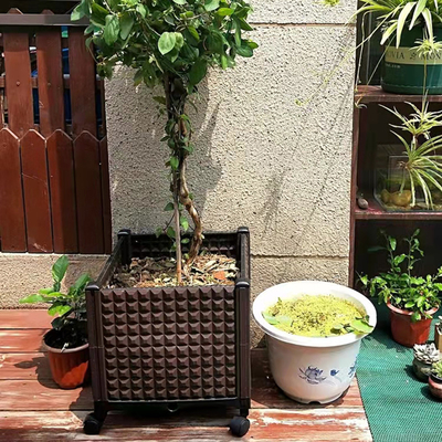 Boşaltılabilir Veranda Tekerlekli Ekici Kutusu Plastik Dikdörtgen Ekici Kutusu Böcek Korumalı