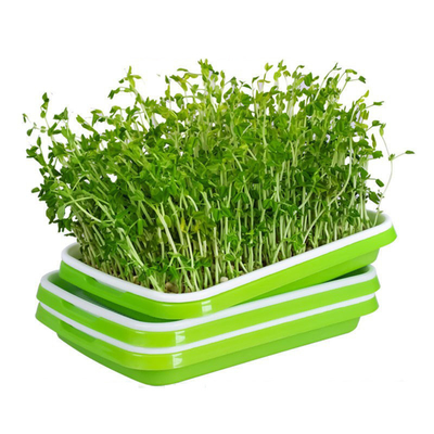 Geri Dönüşümlü PP Microgreen Filizlenme Tepsileri Kapaklı Mutfak Kullanımı