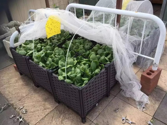 Bahçe Yatağı Bahçe Plastik Yükseltilmiş Ekici Kutuları Retro Dikdörtgen